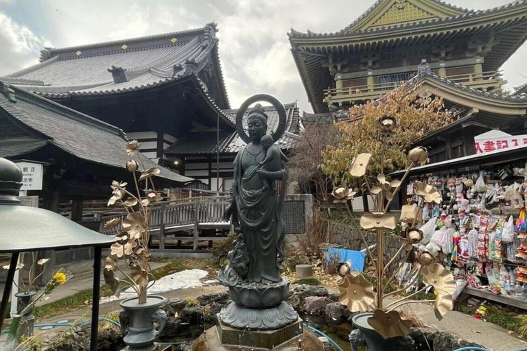 Tokyo: Nagano Day Trip with Snow Monkey Park & Temple.