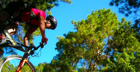 Chiang Mai: Suthep National Park Hiking & DH Mountain Biking
