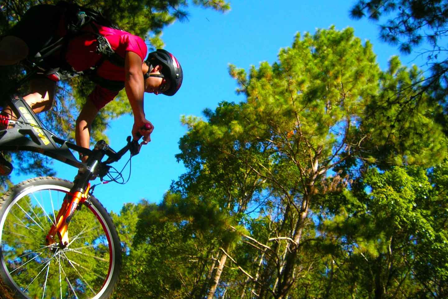 non touristy things to do in chiang mai | enjoy biking in doi suthep mountain national park