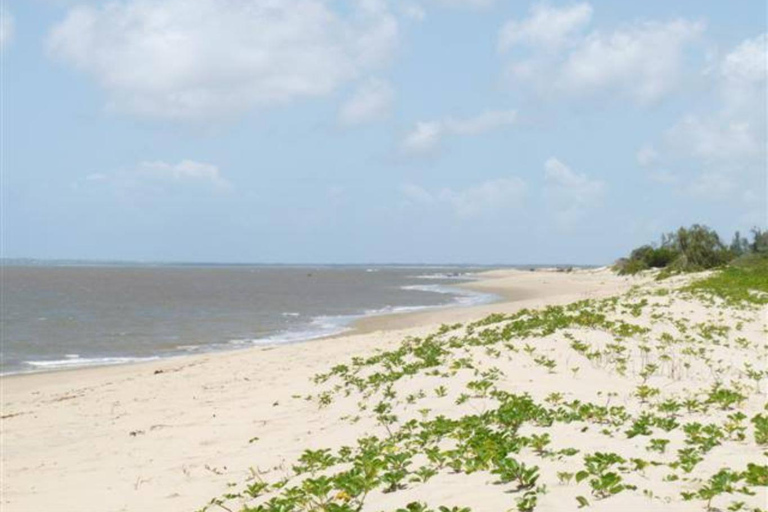 Malindi/Watamu: Safari Blue Tour with Lunch & Snorkeling