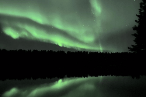 Rovaniemi: expedição particular à Aurora Boreal à meia-noite