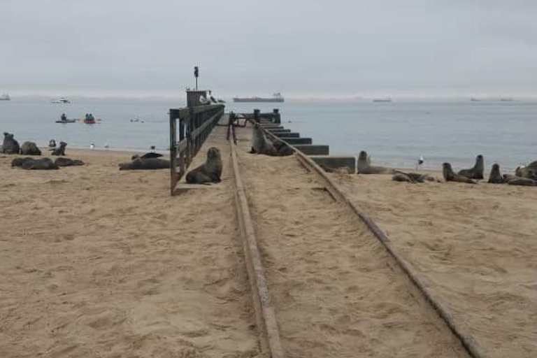 Walvis Bay: Fågelskådning och fotografering