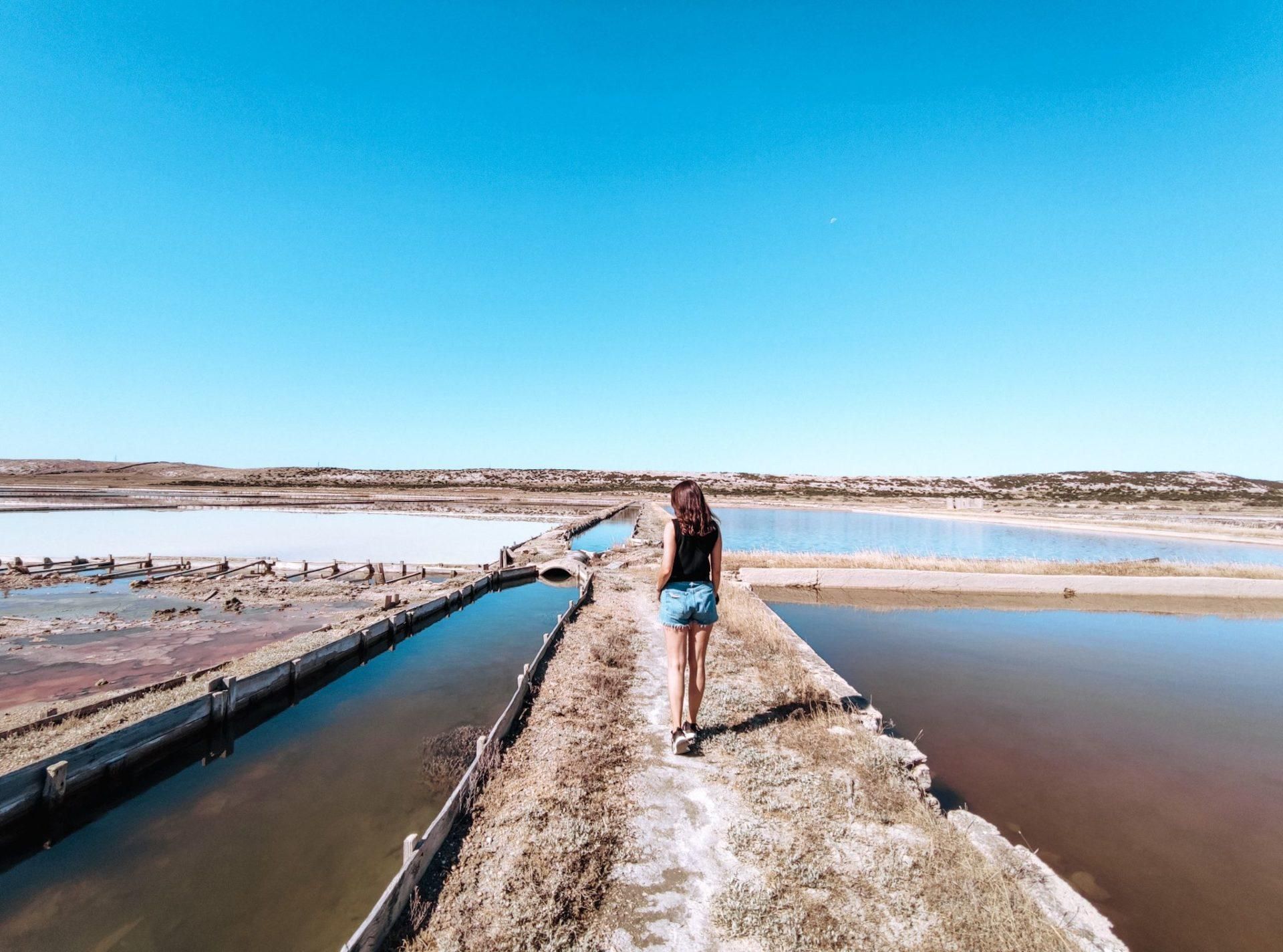 Zadar: Pag-Tour – Käseverkostung, Salinen, Olivenhaine