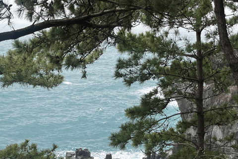 Jeju : visite privée personnalisée avec guide expert