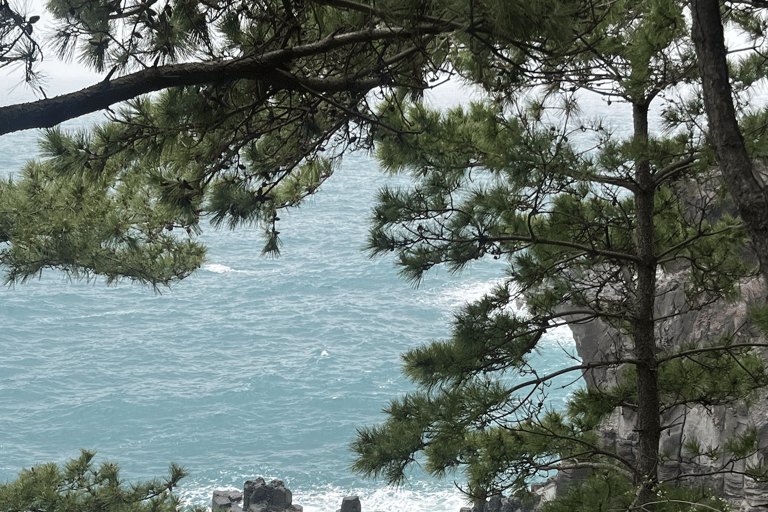 Jeju : visite privée personnalisée avec guide expert