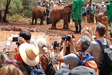 David Sheldrick Wildlife Trust, Tour del Centro GiraffeDavid Sheldrick Wildlife Trust, tour del Giraffe Centre