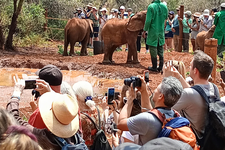 David Sheldrick Wildlife Trust, Tour del Centro GiraffeDavid Sheldrick Wildlife Trust, tour del Giraffe Centre