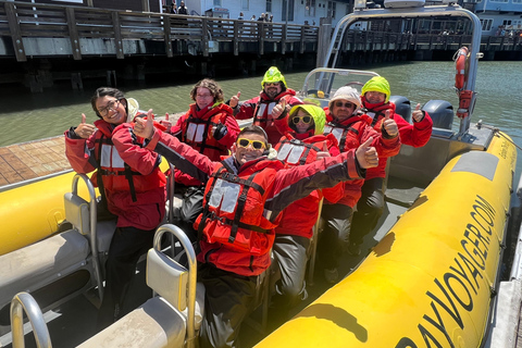 San Francisco Bay Small-Group Adventure Cruise 90 min Adventure Cruise