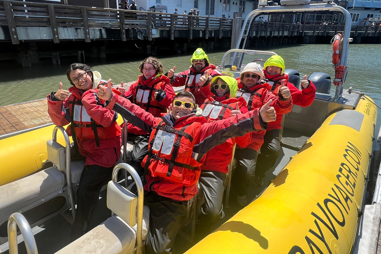 San Francisco Bay Small-Group Adventure Cruise 90 min Adventure Cruise