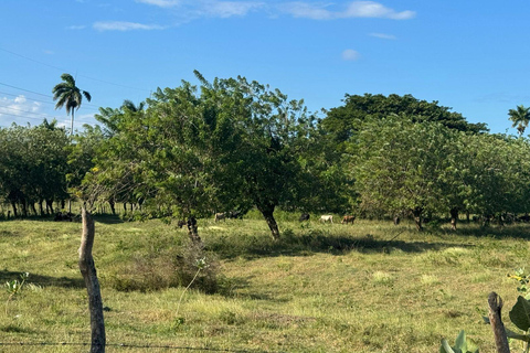 Puerto Plata: El Gallo Ecolodge Day Pass with Lunch