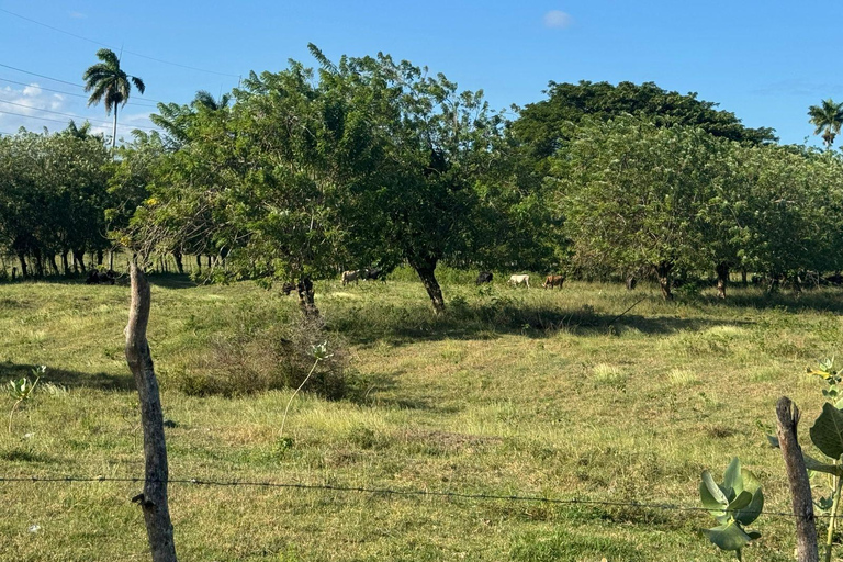 Puerto Plata: El Gallo Ecolodge Day Pass with Lunch