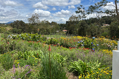 Medellin: Santa Elena Flower Farm and Silletero Tour Private