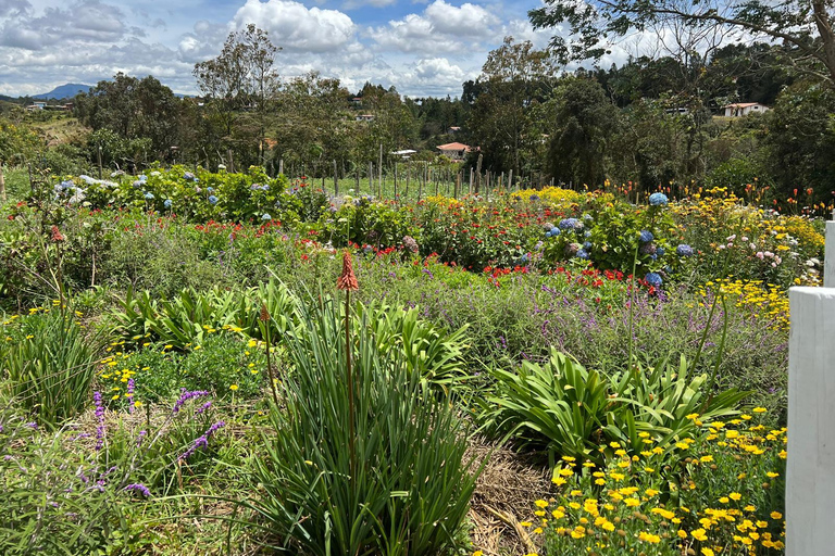 Medellin: Tour privato della Fattoria dei fiori di Santa Elena e del Silletero