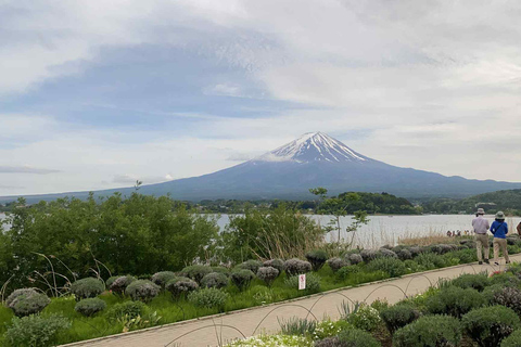 Fuji: kultur, skog och utsikt – privat skräddarsydd turFuji-kultur, skog och naturskön utsikt: Privat skräddarsydd tur