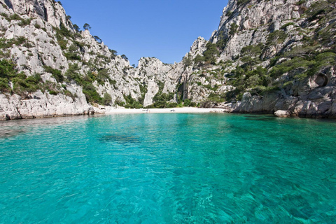 La Ciotat: Boat Tour in the Calanques with swimming