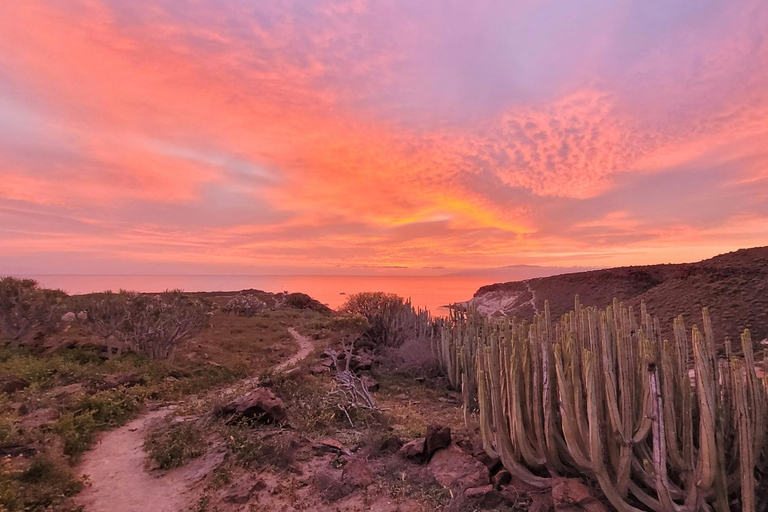 Tenerife: Visita guiada a pé a La Caleta