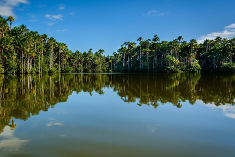 Pto Maldonado: stadstour en avontuur in de jungle |3D-2N|