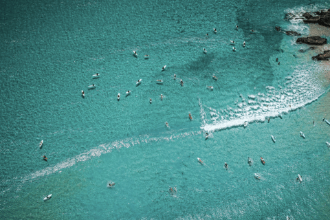 Gold Coast: Adult Group Surf Lesson (16+)