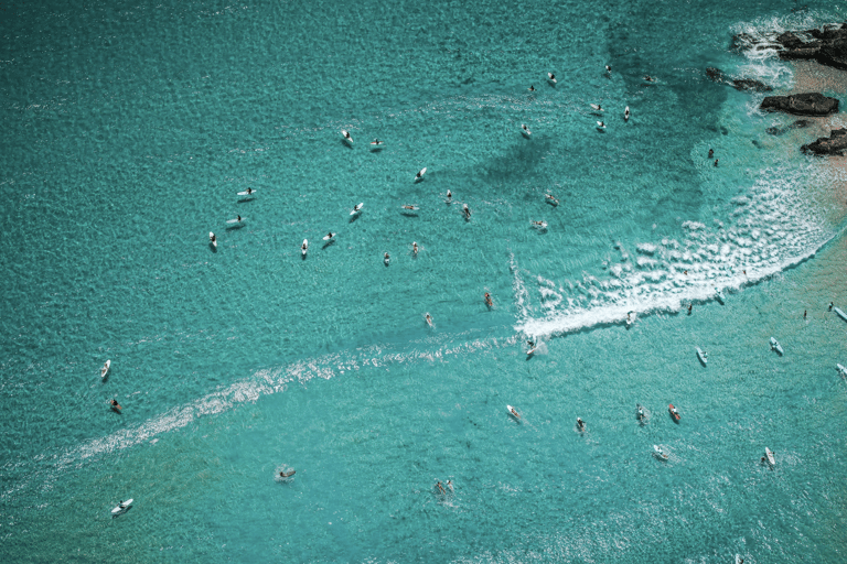 Gold Coast: Adult Group Surf Lesson (16+)