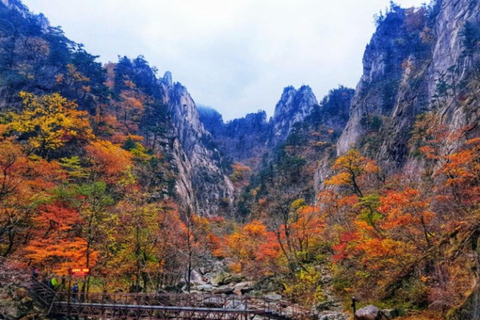 From Seoul: Mt. Seorak & Naksan or Nami Island Private Tour Mt. Seorak & Naksan Temple Private Tour