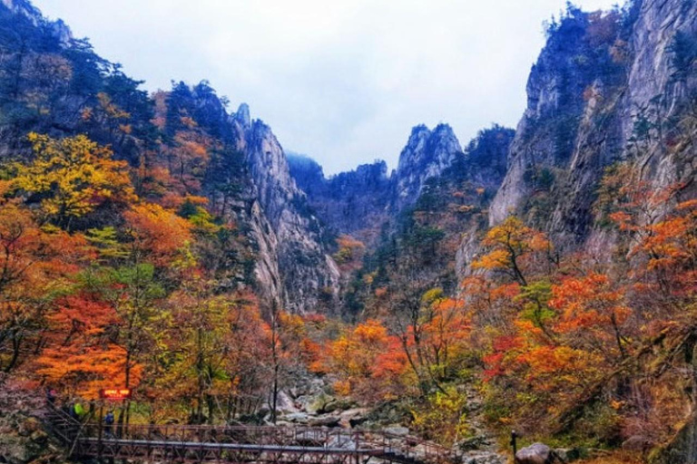 From Seoul: Mt. Seorak & Naksan or Nami Island Private Tour Mt. Seorak & Naksan Temple Private Tour