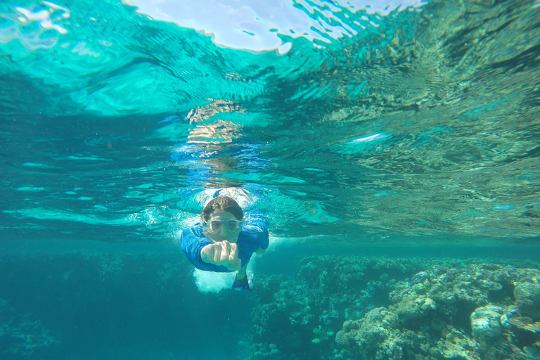 From Cancún: Isla Mujeres Snorkel & Spearfishing Escape
