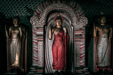 Colombo: Sigiriya Lion Rock & Dambulla Cave Tour with Lunch