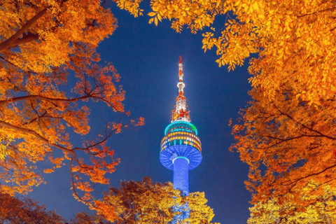 Seoul: N Seoul Tower Observatory Ticket