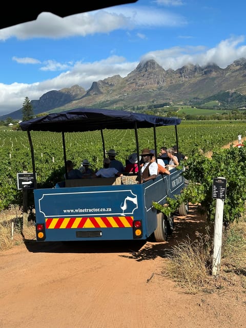 Stellenbosch Wine Tractor Hop On Hop Off Wine Tasting Tour GetYourGuide