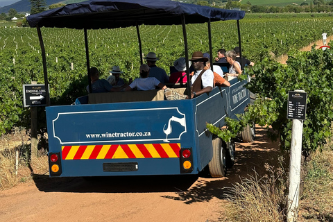 Le Cap : visite à arrêts multiples du vin de Stellenbosch en tracteur