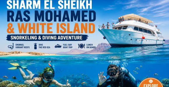 Sharm El Sheikh: Ras Mohamed Snorkeling & Diving Boat Trip