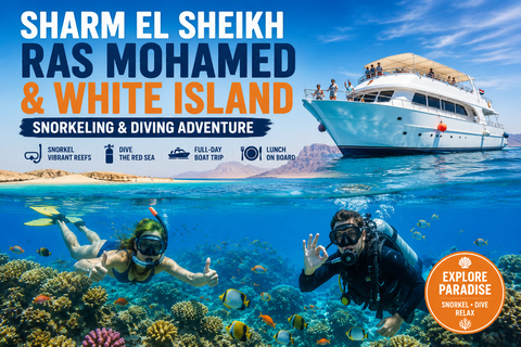 Sharm El Sheikh: Ras Mohamed Snorkeling & Diving Boat Trip Ras Mohamed & White Island – Snorkeling Package