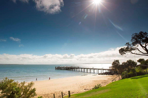 Phillip Island: Kryssning med sälar, pingvinparad och koalor