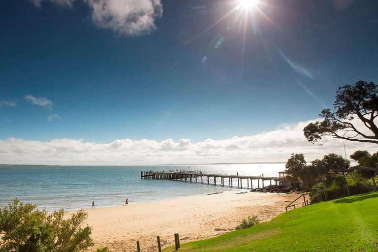 Phillip Island: Kryssning med sälar, pingvinparad och koalor