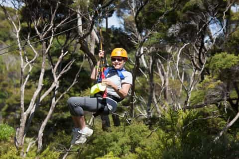 Waiheke Island: Zipline and Native Forest Adventure Trip