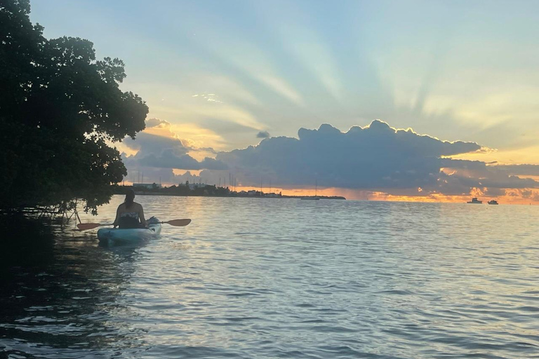 Key West: Kajaktocht bij zonsopgangTandum