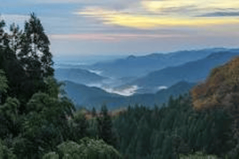 Hidden Tokyo: Nature, Sake & Little Edo Escape