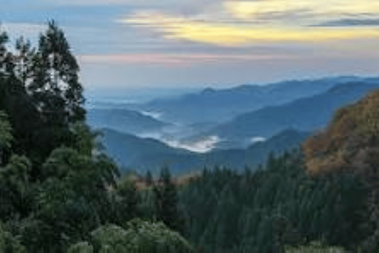 Hidden Tokyo: Nature, Sake & Little Edo Escape