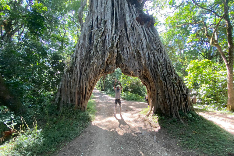 Excursão a pé de um dia para fazer um safári no Parque Nacional de Arusha