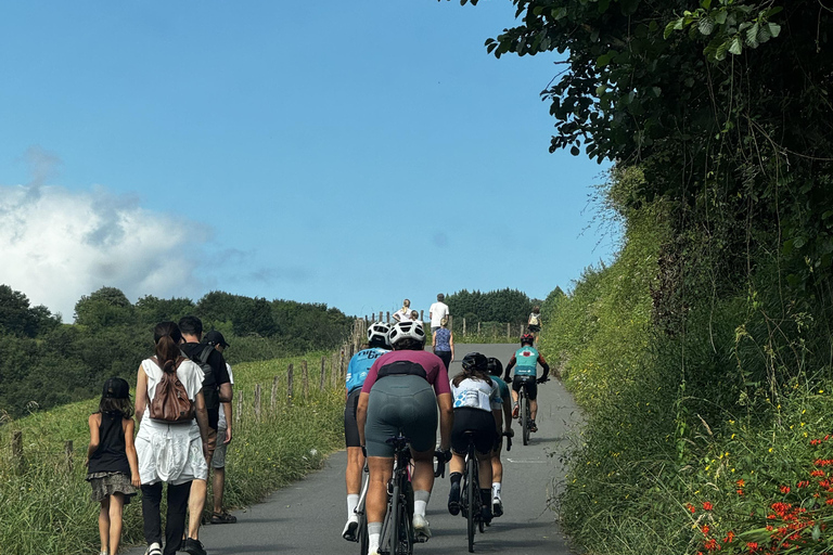 Aluga a tua bicicleta connosco e nós ajudamos-te a descobrir Gipuzkoa.