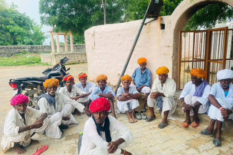 Da Jodhpur: Tour di mezza giornata, giro in cammello e cena a Osian