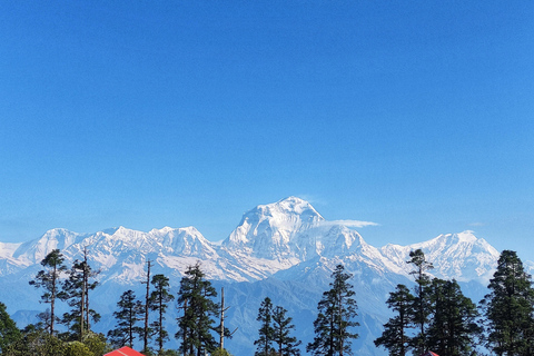 Pokhara: 4-dniowy trekking Poon Hill, GhorepaniPokhara: 4-dniowy trekkingNiezapomniany trekking Poon Hill