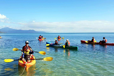 Palm Cove: Guided Half Day Turtle Kayak Tour