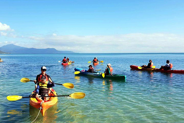 Palm Cove: Guided Half Day Turtle Kayak Tour