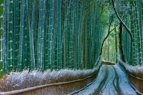 6-Day Osaka & Surroundings Tour