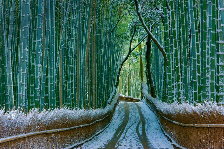 6-Day Osaka & Surroundings Tour