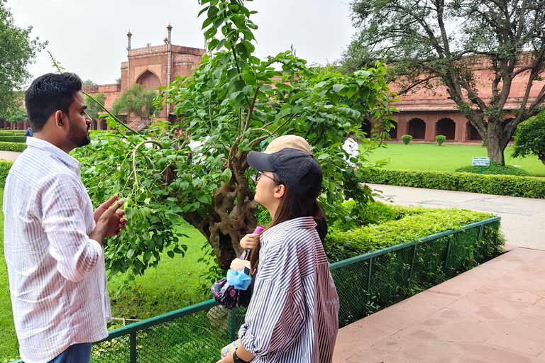 From Delhi: Taj Mahal & Agra Tour by Gatimaan Express Train