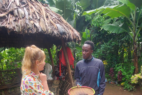 Wonderful Materuni waterfalls and Chemka hotspring Day trip