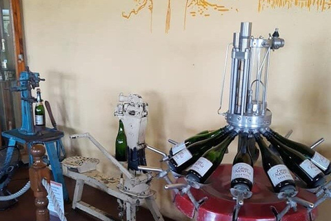 Mexico : visite privée de Querétaro avec dégustation de fromages et de vinsMexico : visite privée avec dégustation de fromages et de vins à Querétaro