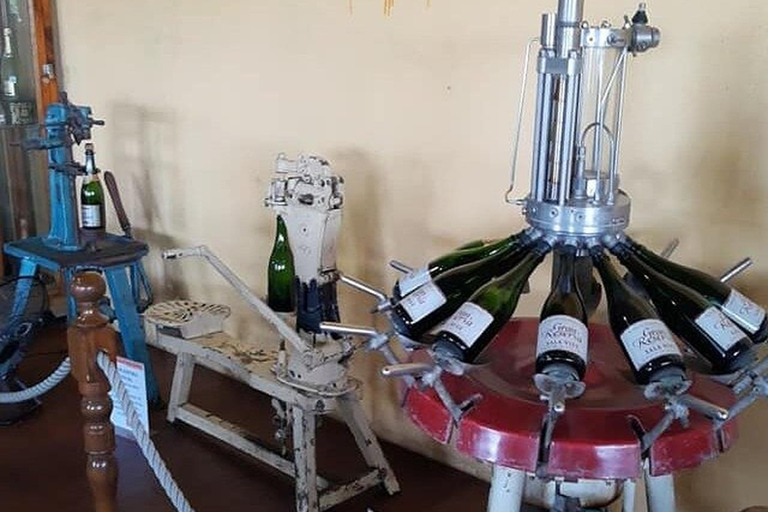 Mexico : visite privée de Querétaro avec dégustation de fromages et de vinsMexico : visite privée avec dégustation de fromages et de vins à Querétaro